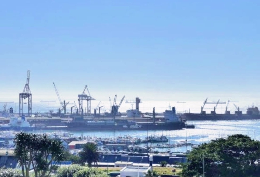 Commercial Property for Sale in Humerail Eastern Cape